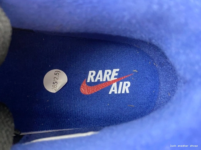 Rep LUCY Air FV5029-003 Jordan Rare 4 Air 0708
